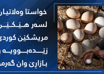 ڤیدیۆ.. خواستا وەلاتیان ل سەر هێكێن كوردی زێدە بوویە