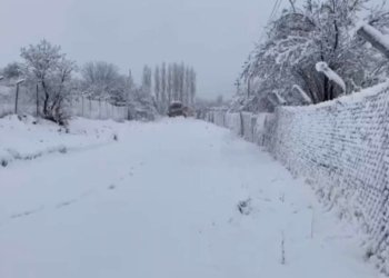 ئه‌ڤرۆ ل كانى ماسێ 50سم به‌فرێ بارینه‌