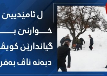 هژمارەکا گەنجێن ئامێدییێ رابووینە ب دانان و بەلاڤکرنا ئالیکی ژبۆ گیانەوەرێن کویڤی