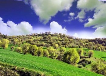 عەبدولرەحمان سدیق: کوالێتییا هەوایێ کوردستانێ د ئاستێ ناڤنجی دایه‌