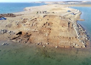 پێنج هزار جهێن شوونواری ل هەرێما کوردستانێ هەنە