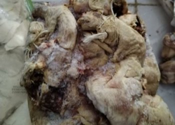 دەست ب سەر هزار و 375 کیلۆیێن کەلوپەلێن ئێکسپایەر دا هاتیە گرتن