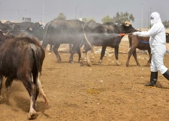 هۆشدارى ژ به‌لاڤبوونا تایا خوینبه‌ربوونێ ل چه‌ند پارێزگه‌هێن عیراقێ دهێته‌ دان