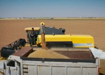 وه‌زاره‌تا چاندنێ : ئه‌ڤساله‌ دێ زێده‌تر ژ 500 هزار ته‌نێن گه‌نمى راده‌ستى سایلۆیان هێنه‌كرن