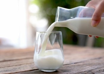 شیر یێ هاریكاره‌ كو زوو خه‌وا مرۆڤی بهێت