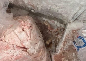 گۆشتێ خراببوویی دناڤ دوکانەکا دارتاشییێ دا د فرۆشت