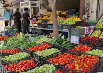 ئێدی جۆتیارێن كورد دشێن به‌رهه‌مێن خۆ یێن چاندنێ ببه‌نه‌ هه‌موو ده‌ڤه‌رێن عێراقێ