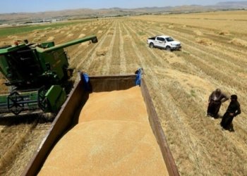 ژڤانێ وه‌رگرتنا گه‌نمێ جوتیاران هاته‌ دیاركرن