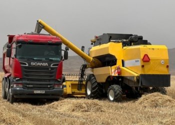 پرۆسه‌یا وه‌رگرتنا گه‌نمى ل سایلۆیێن هه‌رێما كوردستانێ هاته‌ پاشخستن