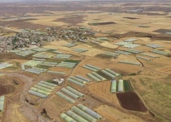 حكومه‌تا هه‌رێما كوردستانێ ئینانا خیاران ژ ده‌رڤه‌ قه‌ده‌غه‌ كر