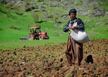 وه‌زاره‌تا چاندنێ و ژێده‌رێن ئاڤێ : سێ پلان بۆ زێده‌كرنا به‌رهه‌مێ چاندنێ هاتینه‌ دانان