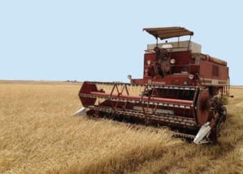 بریكارێ وه‌زاره‌تا بازرگانییا هه‌رێمێ: ئه‌م بزاڤان دكه‌ین هه‌موو گه‌نمێ جۆتیاران بهێته‌ وه‌رگرتن