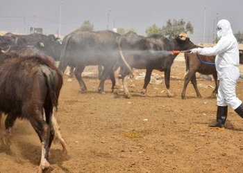 بۆ کۆنترۆلکرنا تایا خوینبەربوونێ وەزارەتا ساخله‌مییێ چەندین رێكار راگەهاندن