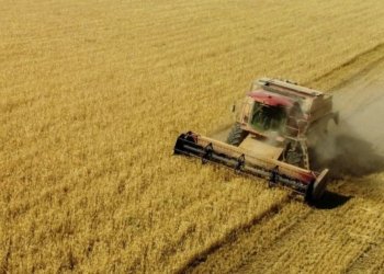 هه‌تا نوكه‌ ل پارێزگه‌ها دهۆکێ رێژه‌كا باش یا گەنمێ جۆتیاران هاتییه‌ وەرگرتن