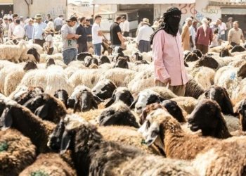 راگه‌هاندنه‌كا بله‌ز ژ وه‌زاره‌تا ساخله‌مییێ ل دۆر قوربانیدانێ