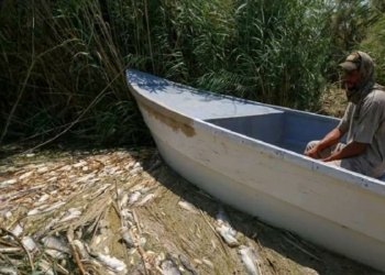 ژ ئه‌گه‌رێ کارەساته‌كا سرۆشتی یا مەترسیدار ل میسان ب ملیۆنان ماسی ژناڤچوون