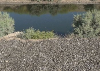 وەزارەتا ژینگەها عێراقێ: 90% ێ یا ئاڤا رووبارێ دیجلەیی پیسبوویە