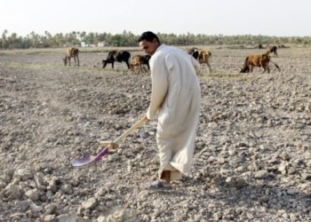 عێراق د قەیرانا هشکە سالییێ دا گەهشتییە قووناغەكا دژوار