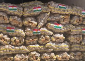 د. محه‌مه‌د شوكری: هنارتنا پتاتان بۆ وه‌لاتێن كه‌نداڤی دێ یا بەردەوام بیت