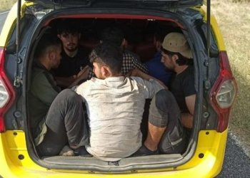 29 كۆچبه‌ر هاتنه‌ گرتن