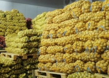 ل پارێزگه‌ها دهۆكێ 126 كۆگه‌هێن سار بۆ هه‌لگرتنا به‌رهه‌مێن پتاتان هاتینه‌ ته‌رخان كرن