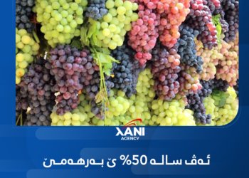 ئه‌ڤ ساله‌ 50% ێ به‌رهه‌مێ تری دێ ژ سالا بوری كێمتر بیت