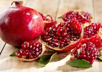 وه‌زاره‌تا چاندنێ : به‌رهه‌مێ هنارین كوردستانێ دگه‌هیته‌ 80 هزار ته‌نان و پشكه‌ك دێ بۆ كه‌نداڤى هێته‌ هنارتن