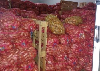 ل قه‌زا سێمێلێ نێزیکی هزار ته‌نێن پیڤازان هاتینه‌ كۆگه‌هكرن