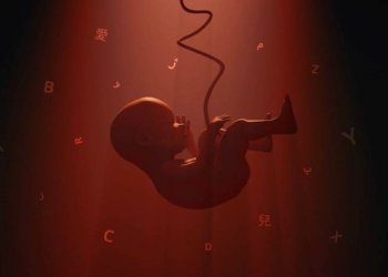 ڤه‌كۆلینه‌ك: مه‌ژییێ زارۆكان به‌رى ژ دایكبوونێ، خوه‌ بۆ فێربوونا زمانى ئاماده‌ دكه‌ت