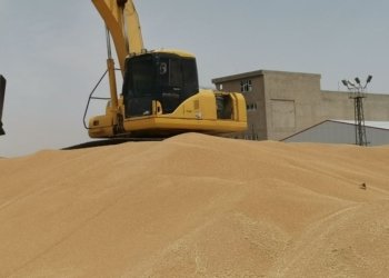 د پلانا ئه‌ڤ ساله‌ یا وه‌رگرتنا گه‌نمی دا ناڤێن جۆتیاران بۆ به‌غدا دێ هێنه‌ ره‌وانه‌كرن