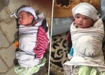 ل‌ به‌غدا دو زارۆیێن نوو ژ دایكبووین دهێنه‌ هاڤێتن