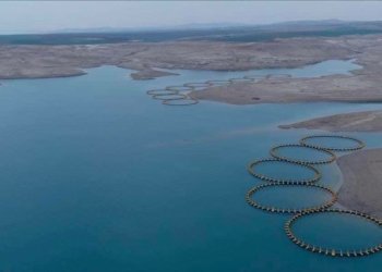 ل دهۆكێ پرۆژەیەكى 50 تەنێن ماسیان تێدانە