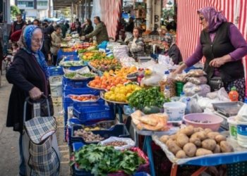 ل باكوورێ كوردستانێ بهایێ سەموونا گران بوو