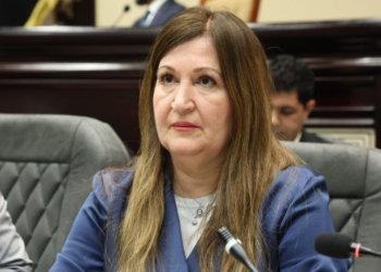 د. ڤیان سەبری: ئەوا نوكە بەرامبەر شایستەیێن دارایی یێن هەرێمێ دهێتەكرن، هەڤدژی دەستوورییە