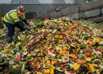 نەتەوێن ئێکگرتی: رۆژانە ئێک ملیار دانێن خوارنێ ب هه‌ده‌ر‌ دچن