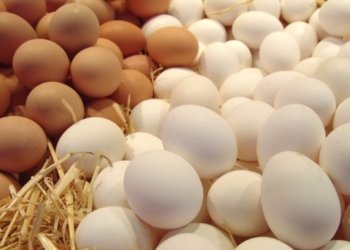 فیراس سه‌دیق: ئینانا هێكان بۆ هەرێما كوردستانێ هاتییه‌ قەدەغەكرن