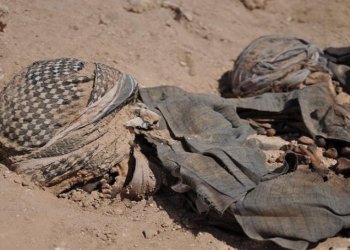 لقێ ئێك یێ پارتی: داخواز دكەین حکومەتا عیراقێ زیانڤێکەفتیێن ئەنفالێن بەھدینان قەرەبوو بكەن