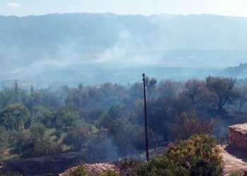 ژ ئه‌نجامێ شه‌رێ توركیا و په*‌كه‌*كێ پتری دو هزار دۆنه‌مێن دارستانێ ل ده‌ڤه‌را به‌رواری بالا هاتینه‌ سوتن