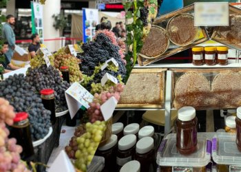 41 باخچه‌ڤان و هنگه‌ڤان دێ پشكدارییێ پێشانگه‌ها 17ێ یا تیرى و هنگڤینێ دهۆكێدا كه‌ن