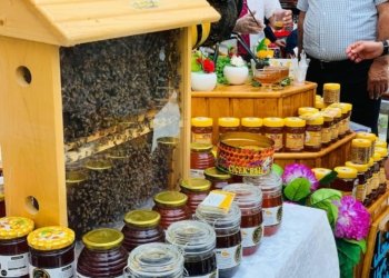 دهۆك، ئامادەکاری بۆ هەڤدەهەمین فێستیڤالا تری و هنگڤینی دهێتە کرن