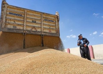 دەست ب بەلاڤكرنا پارەیێ گەنمێ جووتیارێن دهۆكێ هاتەكرن