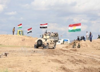 عه‌بدولخالق ته‌لعه‌ت: د پلانا مه‌ دایە شه‌ش لیوایێن هه‌ڤپشك دروستبکەین