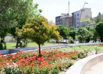 بۆ به‌رهنگاربوونا گوهۆرینێن سه‌قای دێ 200 هزار گول و دار هێنه‌ چاندن