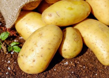 ده‌مێ قه‌ده‌غه‌یا ئینانا پتاتان هاته‌ درێژكرن