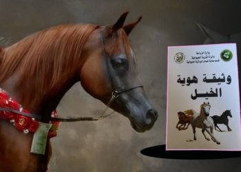 پاسپۆرت دێ بۆ هەسپان هێنە دروستكرن