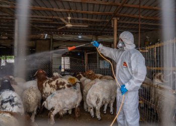 هەوا رێگریكرنێ ل بەلاڤبوونا تایا خوینبەربوونێ ل دهۆكێ دەستپێكرییە