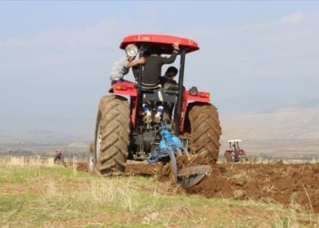 ڕێڤه‌به‌رێ گشتییێ چاندنێ ل دهۆكێ: نێزیكى 500 ملیار دیناران زیان گه‌هشتییه‌ جووتیاران