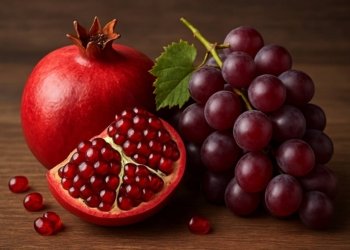 ئینانا تری و هناران هاتە قەدەغەكرن