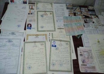 ڕێكخراوا نیۆ میدیا لاین یا ئەمریكی: