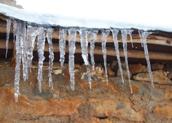 سەقاناسییا هەرێمێ: سەقا دێ گەلەك سار بیت و بیتە بەستی